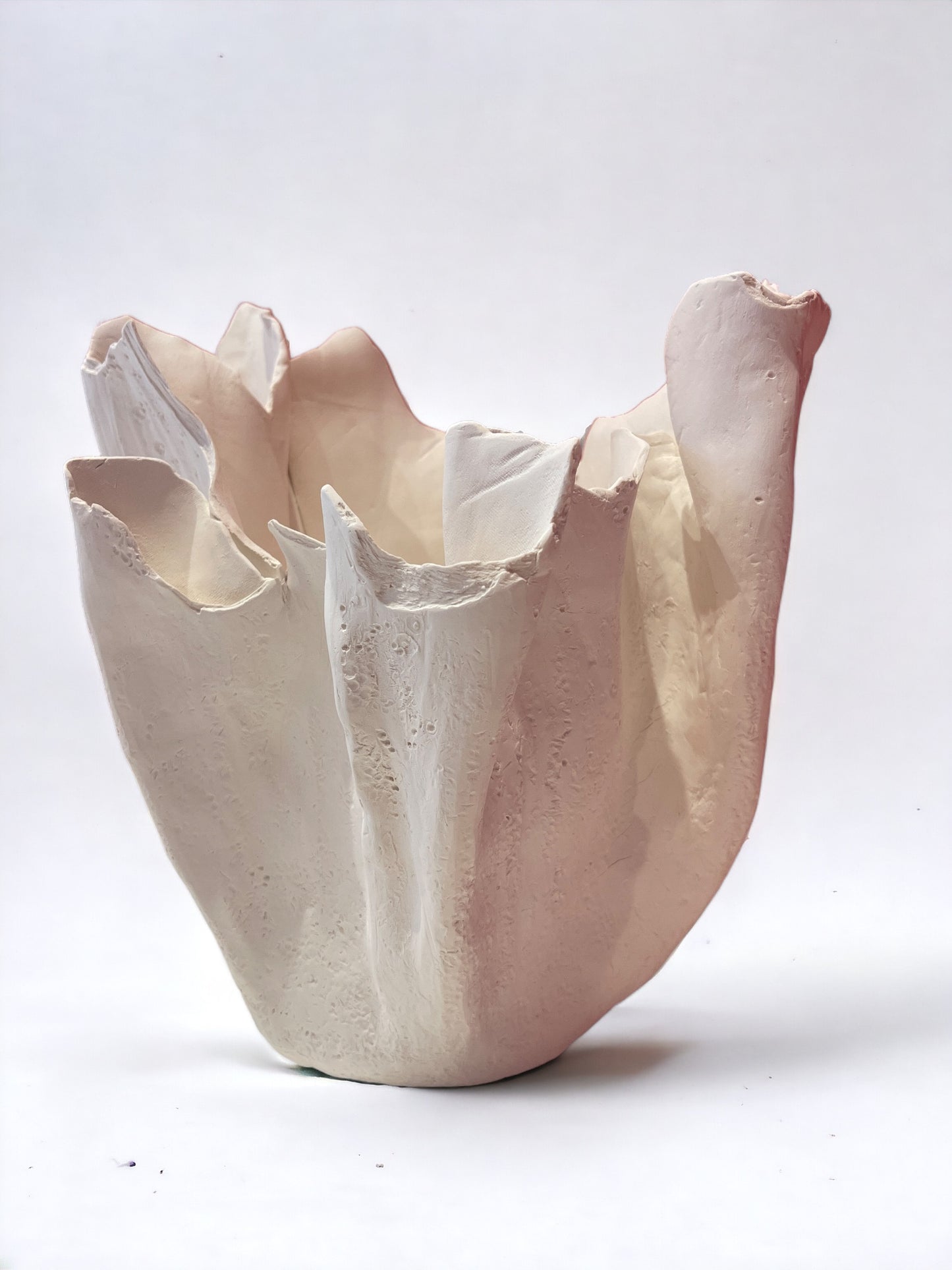 Large Porcelain Shell Vase