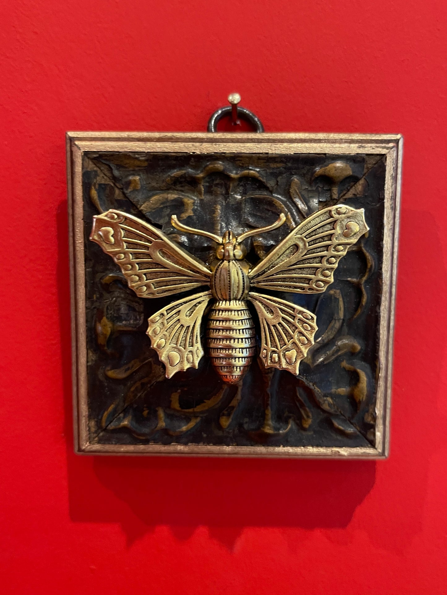 Ornamental Bee | Butterflies and Insects
